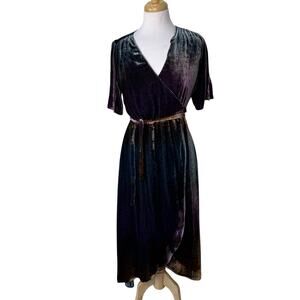 JOHNNY WAS Ombre Cheetah Velvet Wrap Dress Multi Color Size SMALL NWT